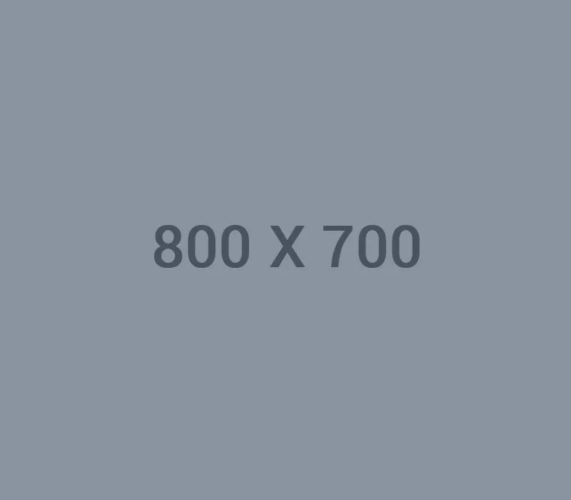 世界杯入口